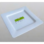 AT2395 Plastic Square  Serving Plate