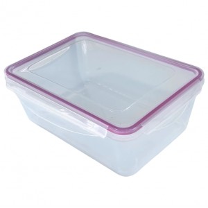 AT4527 Plastic Food Storage Box-23.2x17.5x8.5 CM